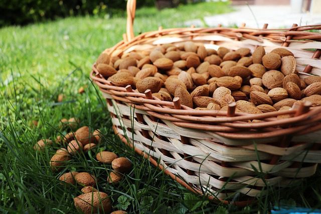 Almond Are Good For Weight Loss | Almond Help In Weight Loss