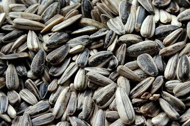 Sunflower Seeds Benefits And Side Effects | Sunflower Seed Good For Health