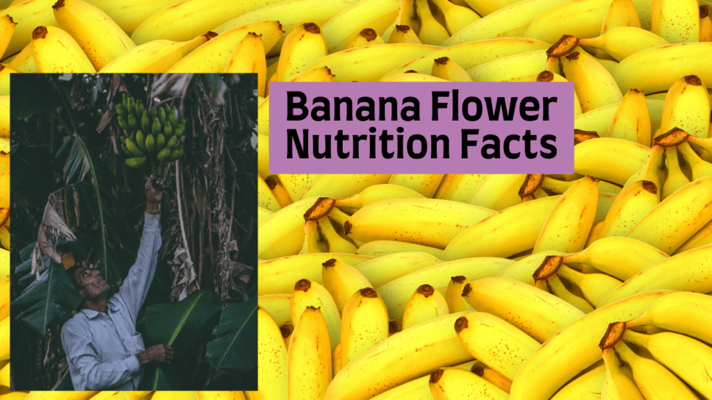 Banana Flower Nutrition Facts | banana flower nutritional value