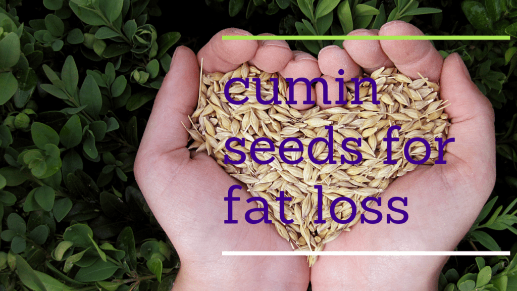 cumin seeds for fat loss | cumin seeds lose weight