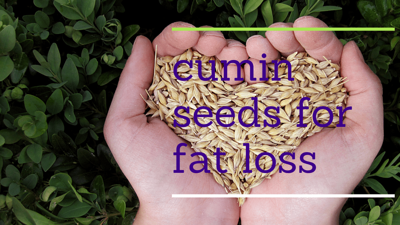 Cumin Seeds For Fat Loss | Cumin Seeds Is Good For Weight Loss | 100% Useful