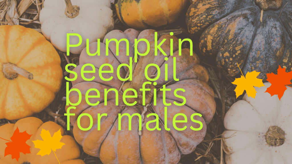 nature made pumpkin seed oil | pumpkin seed oil benefits for males