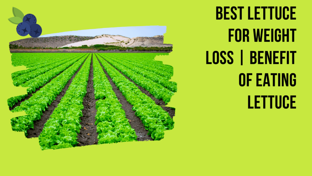 Best Lettuce For Weight Loss | Benefit Of Eating Lettuce