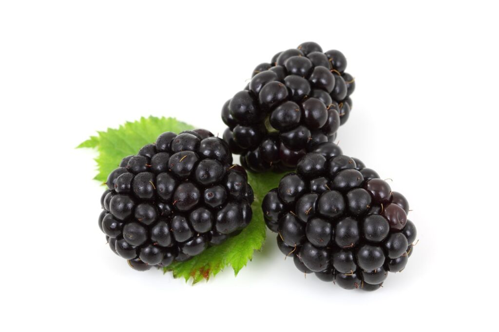 Nutritional Value In Blackberries | Blackberries Nutrition Data