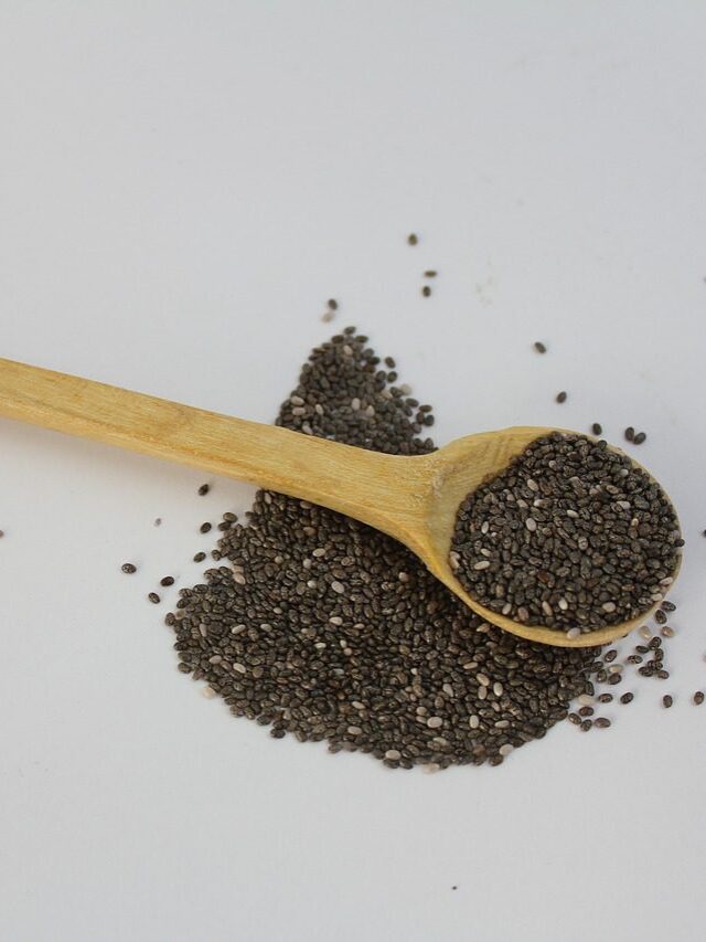 Chia Seeds Protein: Increase your nutrition from this superfood