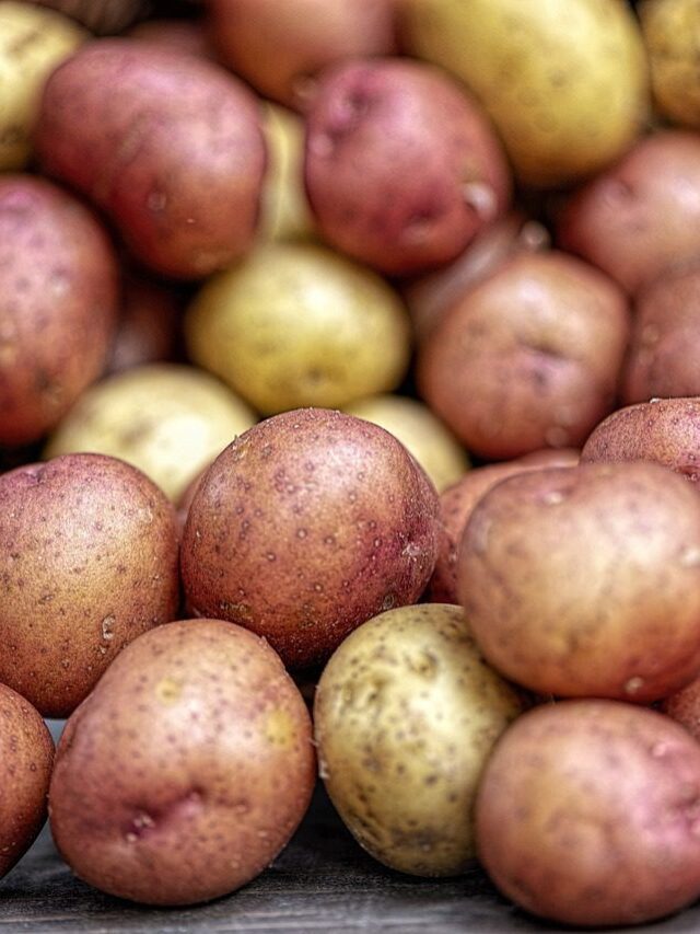 Nutritional Information for Potatoes: Key Health Facts and Benefits