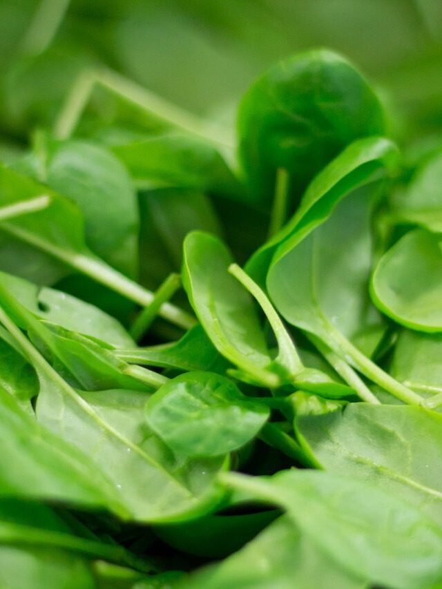 Nutritional value of raw spinach:you should include it in your diet